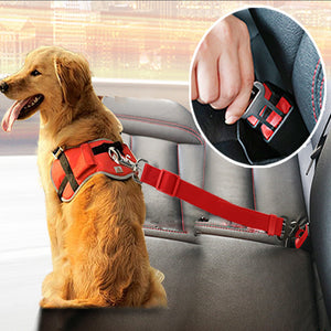 Dog Collar Seat Belts